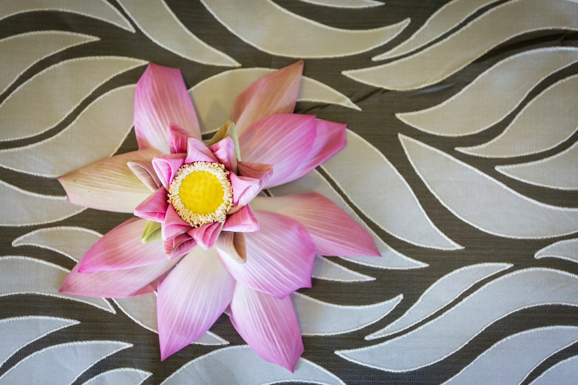 Grand Bayon Siem Reap Hotel Luaran gambar